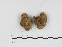 登錄號:F0024294藏品圖，第3張