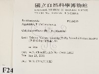 登錄號:F0024295藏品圖，第2張