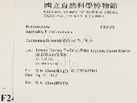 登錄號:F0024296藏品圖，第2張