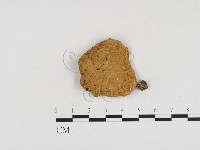 登錄號:F0024297藏品圖，第1張