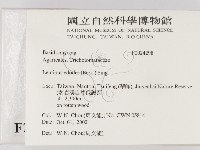登錄號:F0024298藏品圖，第2張