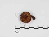 登錄號:F0024298藏品圖，第1張