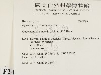 登錄號:F0024299藏品圖，第2張