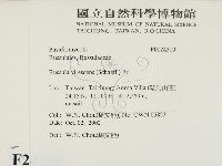 登錄號:F0024300藏品圖，第2張