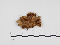 登錄號:F0024300藏品圖，第1張