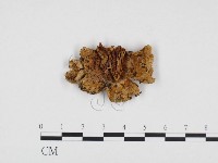 登錄號:F0024300藏品圖，第3張