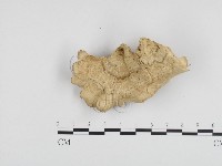 登錄號:F0024301藏品圖，第1張