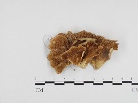 登錄號:F0024301藏品圖，第3張