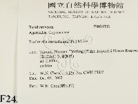 登錄號:F0024302藏品圖，第2張