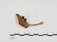登錄號:F0024302藏品圖，第3張