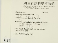 登錄號:F0024305藏品圖，第2張