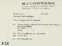 登錄號:F0024306藏品圖，第2張