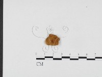 登錄號:F0024307藏品圖，第3張