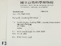 登錄號:F0024308藏品圖，第2張