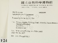 雲芝藏品圖，第2張