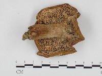 登錄號:F0024310藏品圖，第1張