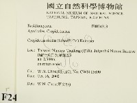 登錄號:F0024313藏品圖，第2張
