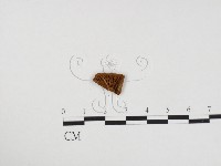 登錄號:F0024313藏品圖，第3張