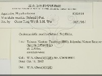 登錄號:F0024314藏品圖，第2張