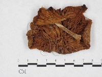 登錄號:F0024314藏品圖，第1張