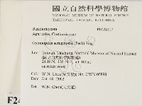 登錄號:F0024317藏品圖，第2張
