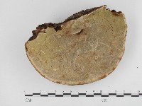 登錄號:F0024318藏品圖，第3張