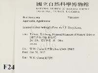 登錄號:F0024319藏品圖，第2張
