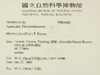 登錄號:F0024320藏品圖，第2張