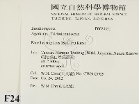 登錄號:F0024321藏品圖，第2張