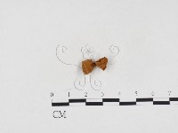 登錄號:F0024321藏品圖，第1張