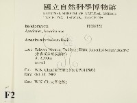 登錄號:F0024322藏品圖，第2張