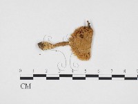 登錄號:F0024322藏品圖，第1張