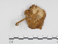 登錄號:F0024324藏品圖，第3張