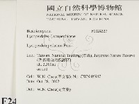 登錄號:F0024327藏品圖，第2張