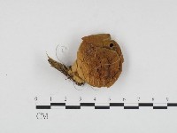 登錄號:F0024327藏品圖，第1張