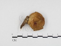 登錄號:F0024327藏品圖，第3張