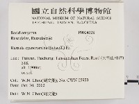 登錄號:F0024328藏品圖，第2張