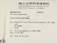 登錄號:F0024329藏品圖，第2張