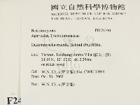 登錄號:F0024330藏品圖，第2張