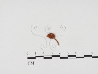 登錄號:F0024331藏品圖，第3張