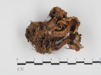 登錄號:F0024333藏品圖，第1張