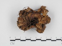 登錄號:F0024333藏品圖，第3張