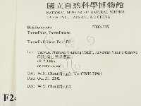 登錄號:F0024335藏品圖，第2張