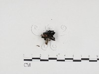 登錄號:F0024335藏品圖，第3張