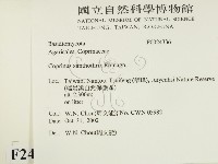 登錄號:F0024336藏品圖，第2張