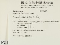 登錄號:F0024337藏品圖，第2張