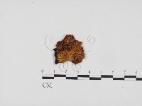 登錄號:F0024337藏品圖，第1張