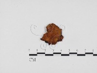 登錄號:F0024337藏品圖，第3張