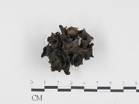 登錄號:F0024340藏品圖，第1張