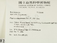 登錄號:F0024345藏品圖，第2張